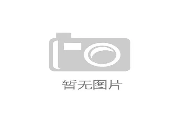 开放API接口促进第三方开发者生态繁荣